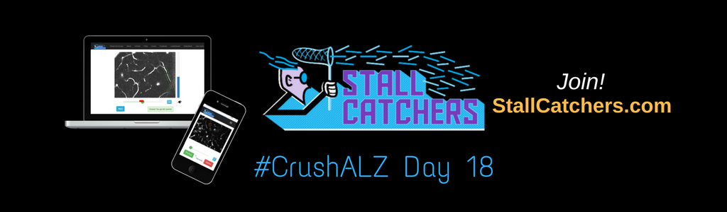 #CrushALZ Daily: Competition among daily leaders heating up on Day 18!