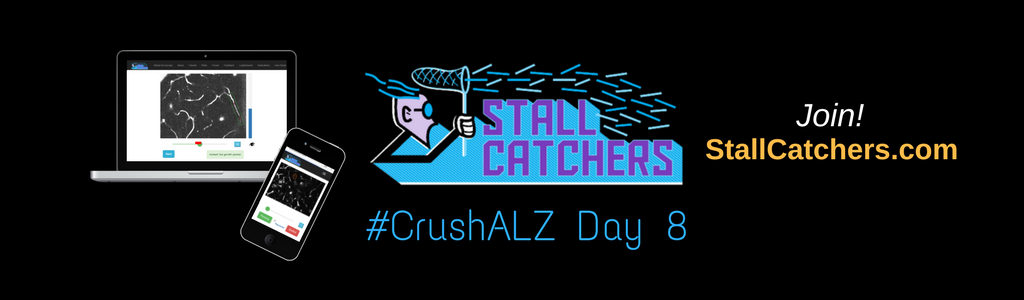 #CrushALZ Daily: Stall Destroyers take the lead on Day 8! 💪