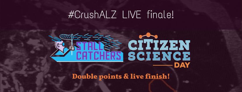 #CrushALZ Live finale & Double points on the last day!