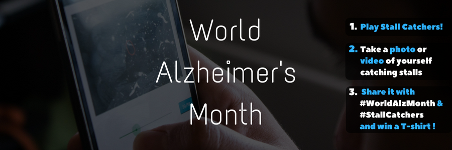 Catch stalls for World Alzheimer's Month (and win!)