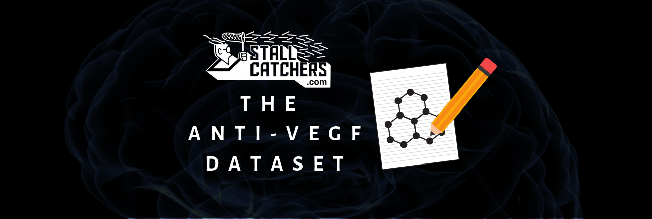 The "anti-VEGF" dataset now in Stall Catchers 🔬