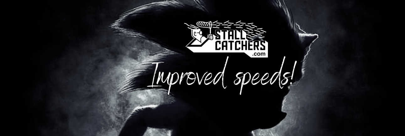 Improved speeds in Stall Catchers! Here's how and why...