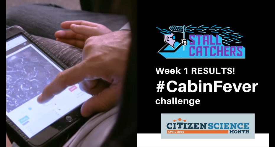 Week 1 of #CabinFever is complete! Full report + Day 7 leaders