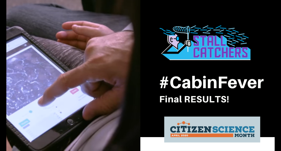 Final results of the #CabinFever challege!