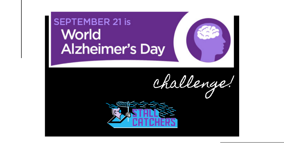 World Alzheimer's Day challenge on Stall Catchers!
