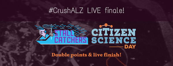 #CrushALZ Live finale & Double points on the last day!