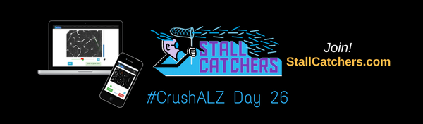 #CrushALZ Daily: Crushing faster than ever & all records broken AGAIN on Day 26