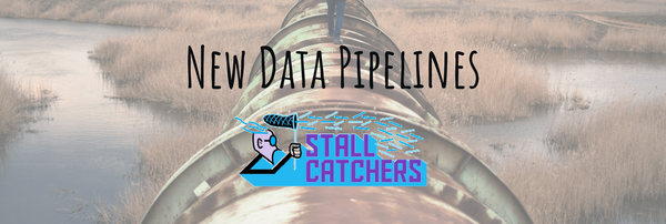 Behind the scenes: developing new data pipelines in Stall Catchers
