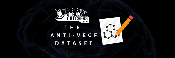 The "anti-VEGF" dataset now in Stall Catchers 🔬