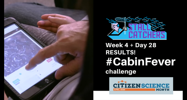 Day 28 & Week 4 of the #CabinFever challenge!