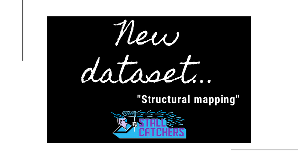 New Stall Catchers dataset: "Structural mapping" 🧠